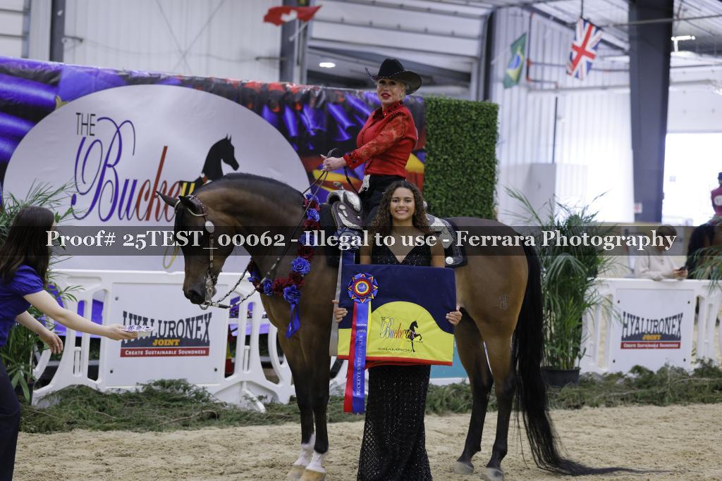 Proof Number 25TEST_00062