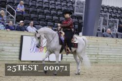 25TEST_00071 thumbnail