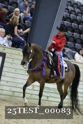 25TEST_00083 thumbnail