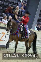 25TEST_00084 thumbnail