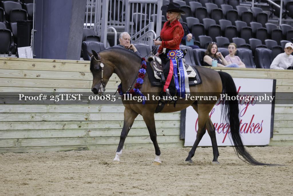 Proof Number 25TEST_00085