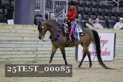 25TEST_00085 thumbnail