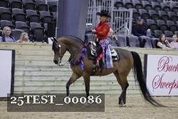 25TEST_00086 thumbnail