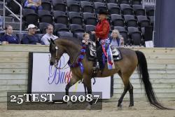 25TEST_00087 thumbnail