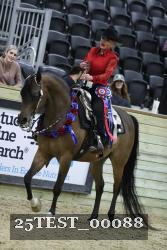 25TEST_00088 thumbnail