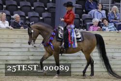 25TEST_00089 thumbnail