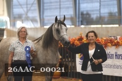 26AAC_00021 proof