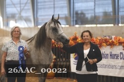 26AAC_00022 proof