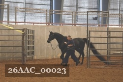 26AAC_00023 proof