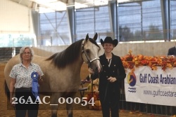 26AAC_00054 proof