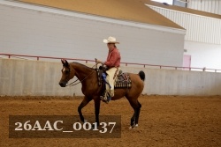 26AAC_00137 proof