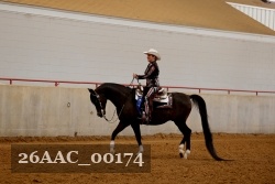 26AAC_00174 proof