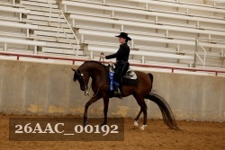 26AAC_00192 proof