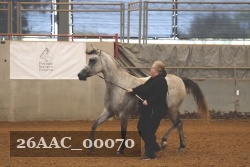 26AAC_00070 proof