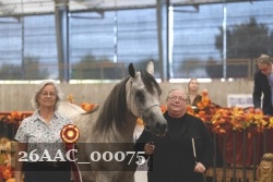 26AAC_00075 proof
