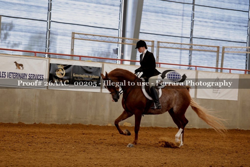 Proof 26AAC_00205