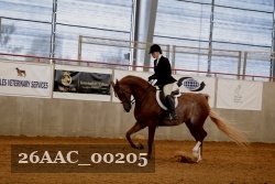 26AAC_00205 proof