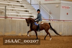 26AAC_00207 proof