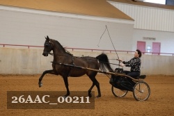 26AAC_00211 proof