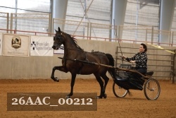 26AAC_00212 proof