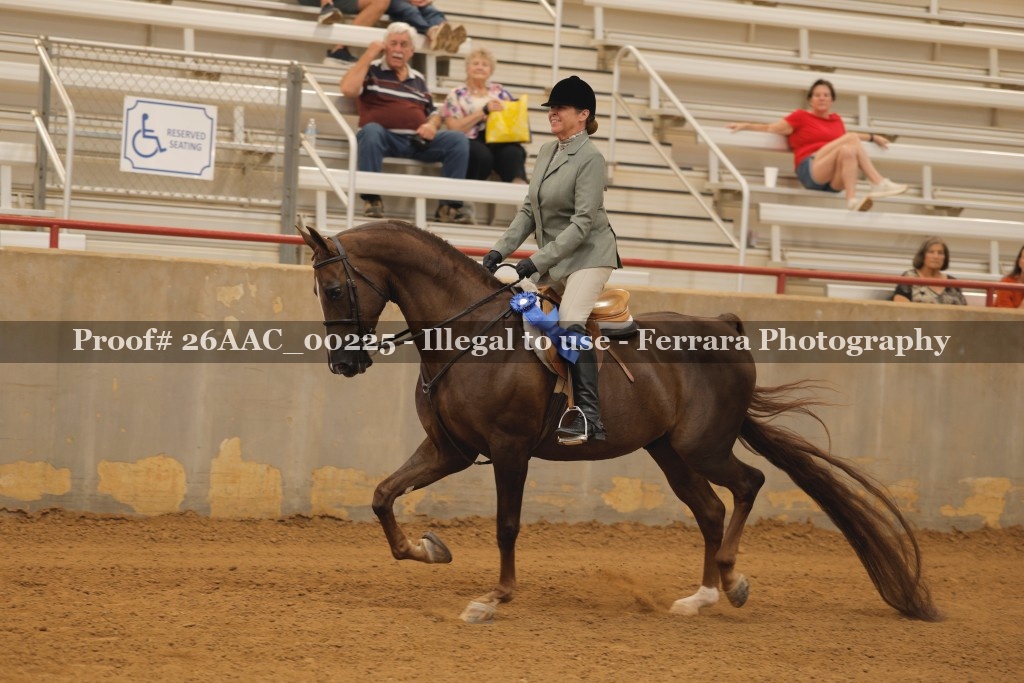 Proof 26AAC_00225