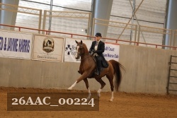 26AAC_00224 proof
