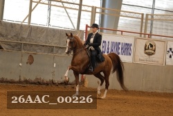 26AAC_00226 proof