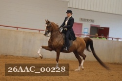 26AAC_00228 proof