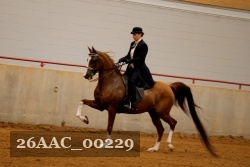 26AAC_00229 proof