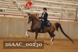 26AAC_00230 proof