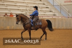 26AAC_00238 proof