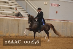 26AAC_00256 proof