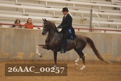 26AAC_00257 proof