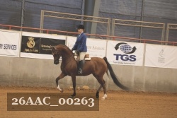 26AAC_00263 proof