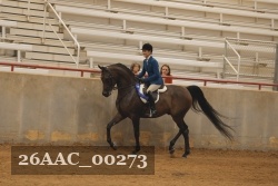 26AAC_00273 proof
