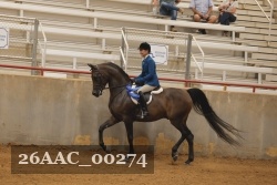 26AAC_00274 proof