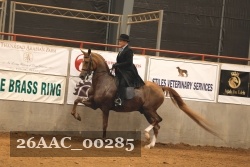 26AAC_00285 proof