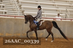 26AAC_00339 proof