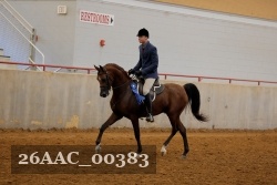 26AAC_00383 proof