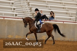 26AAC_00485 proof