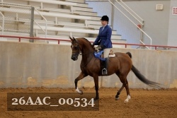 26AAC_00534 proof
