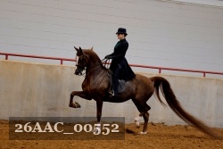 26AAC_00552 proof
