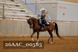 26AAC_00585 proof