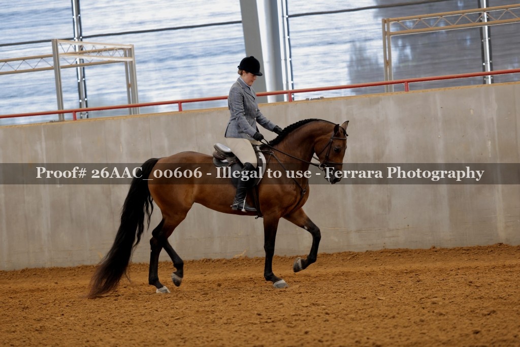 Proof 26AAC_00606