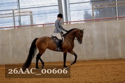 26AAC_00606 proof