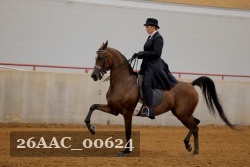 26AAC_00624 proof