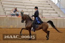 26AAC_00625 proof