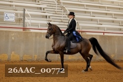 26AAC_00772 proof