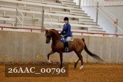 26AAC_00796 proof
