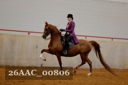 26AAC_00806 proof